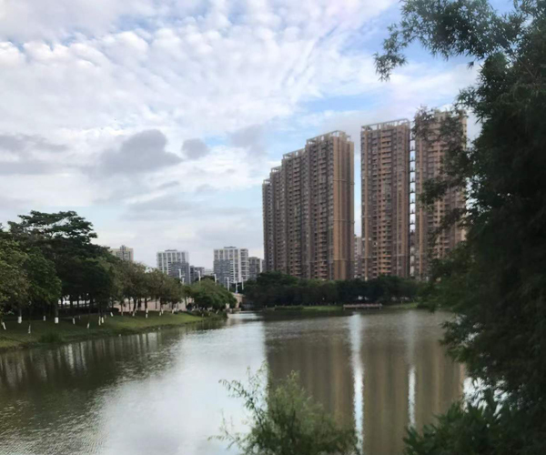 顺德乐从镇创兴三路以西、环镇南路以北部分土地分别公开出租 顺德乐从镇创兴三路以西、环镇南路以北部分土地分别公开出租