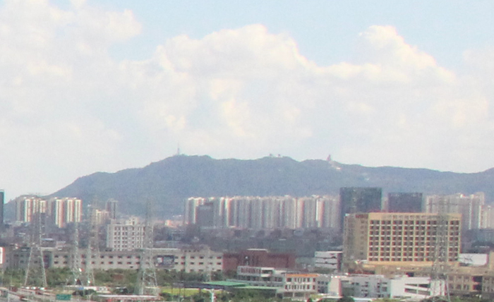 佛山大沥博美装饰市场：家居美学的新天地，装饰梦想的启航港！