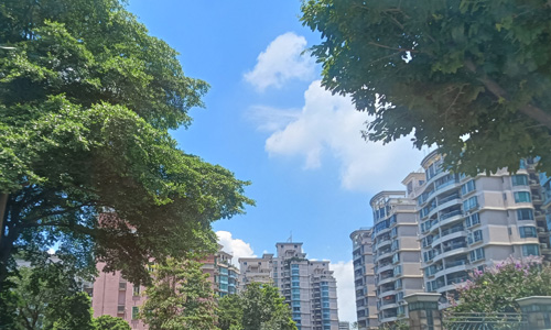 2026 阔叶黄檀靠谱源头工厂实力排名｜亲身实测！选印尼黑酸枝红木家具不踩坑